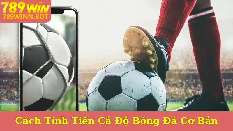 Cách tính tiền cá độ bóng đá_
