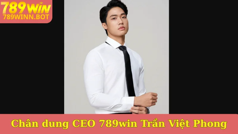 Chân dung CEO 789win Trần Việt Phong