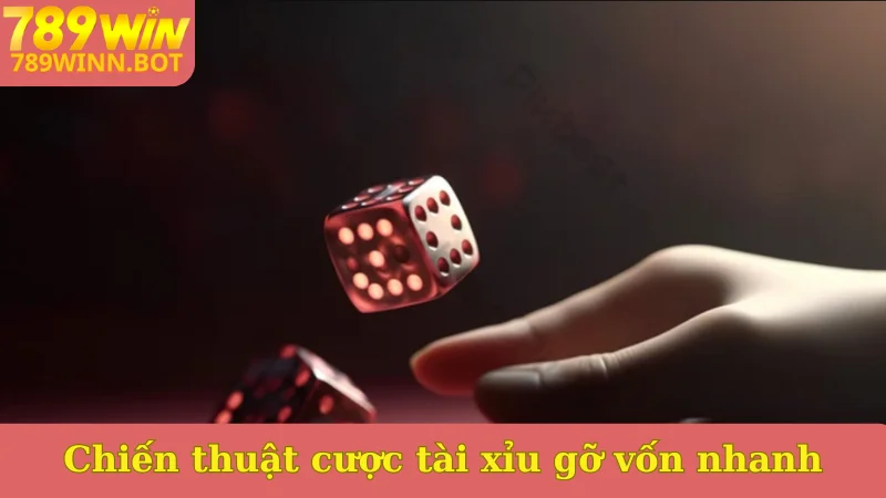 Chiến thuật cược tài xỉu gỡ vốn nhanh