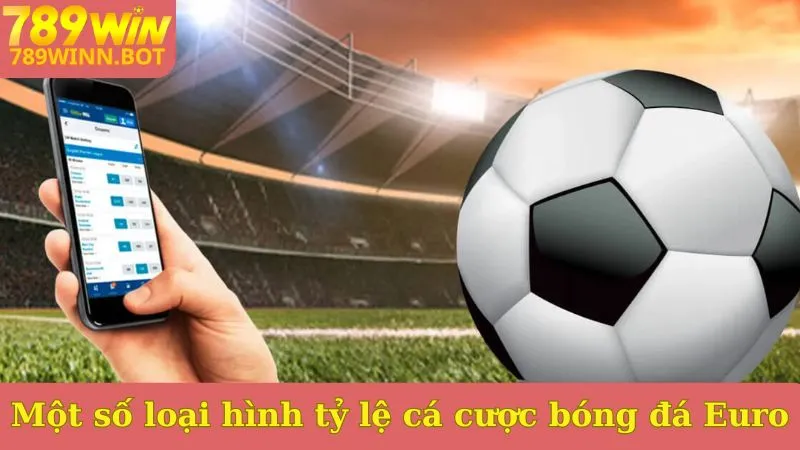 Một số loại hình tỷ lệ cá cược bóng đá Euro