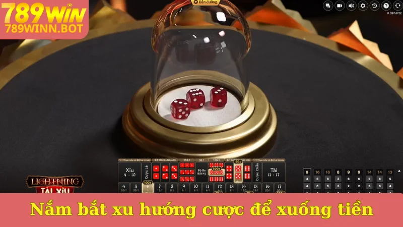 Nắm bắt xu hướng cược để xuống tiền