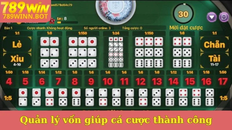 Quản lý vốn giúp cá cược thành công