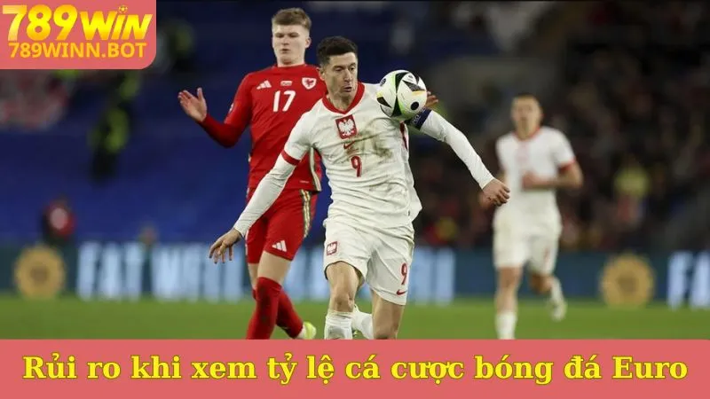 Rủi ro cần tránh khi xem tỷ lệ cá cược bóng đá Euro