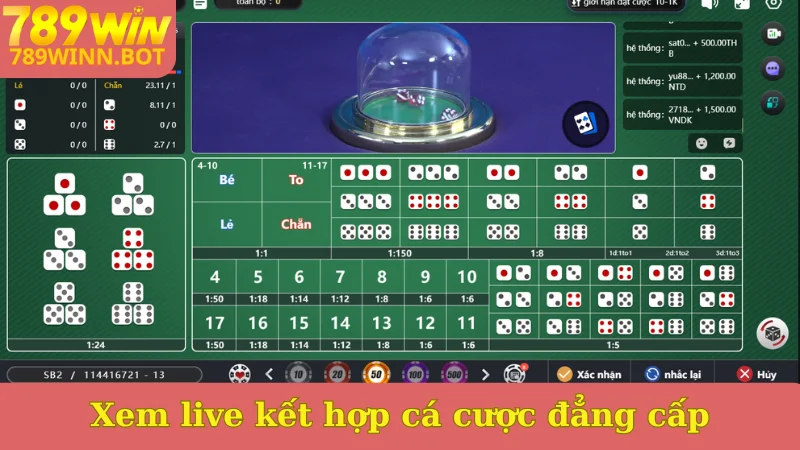 Xem live kết hợp cá cược đẳng cấp